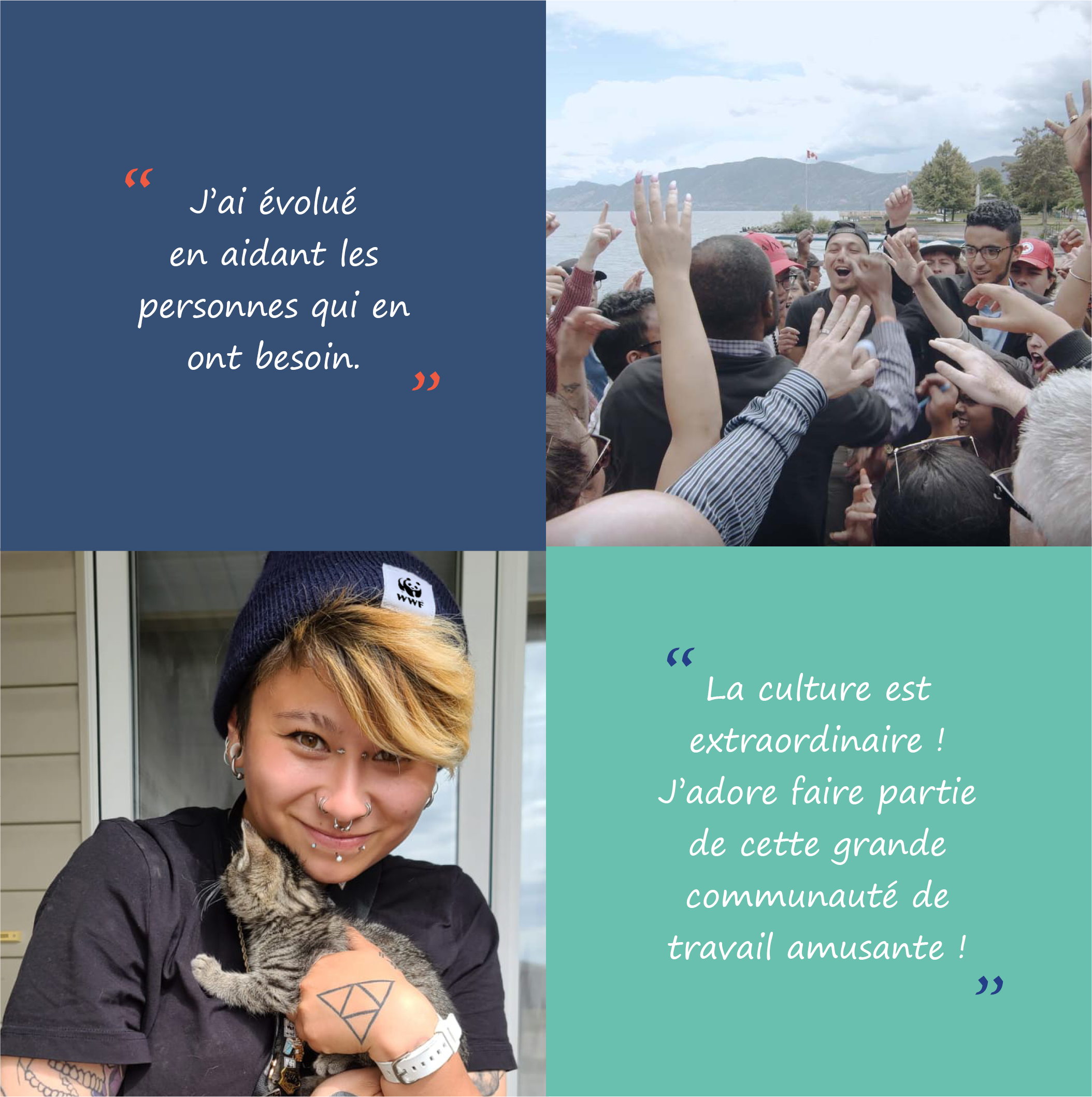 TNI Rep Quotes French TNI Rep Quotes